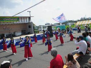 ころも咲き
