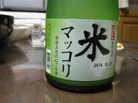 マッコリ、見付けた。
