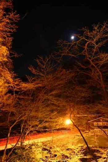 くどいですが、香嵐渓のクリスマスイブライトアップ