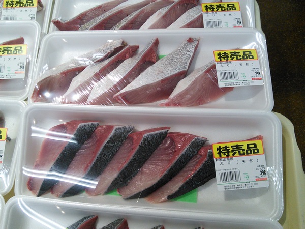 本日お祭り騒ぎ『鮮魚の日』!!