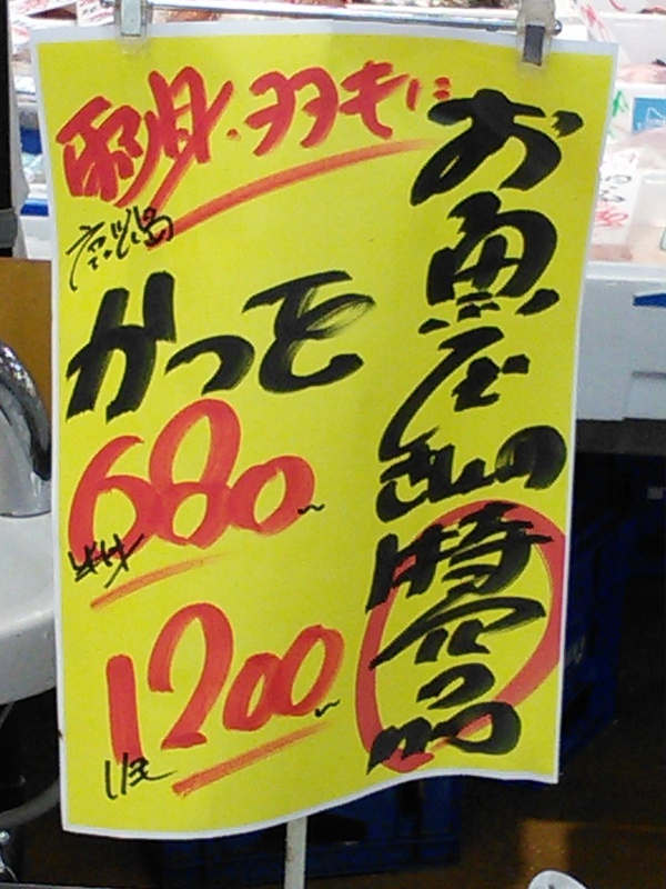 夏の到来!? 夏の到来!?