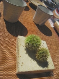 震災の年の秋のこと