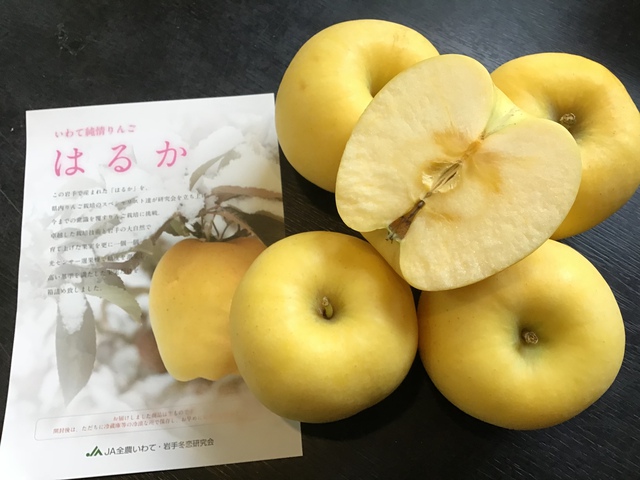 黄色というよりむしろ白〜岩手 純情はるか〜 黄色というよりむしろ白〜岩手 純情はるか〜