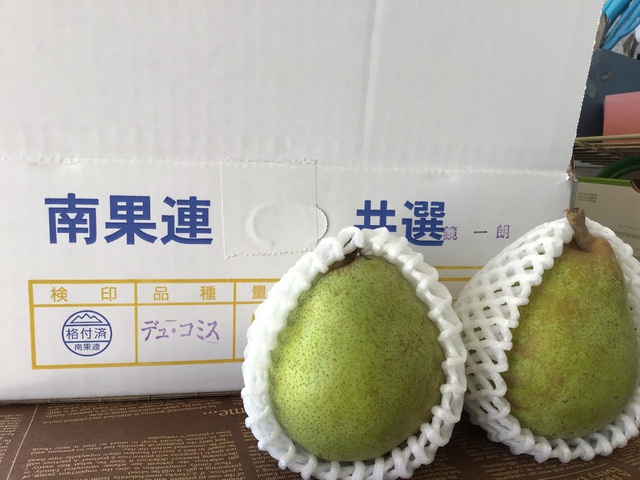 コミスが大好き コミスが大好き
