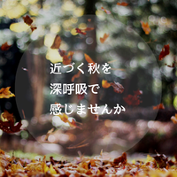 【秋の養生】近づく秋を深呼吸で感じませんか