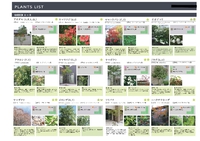 岡崎市Y邸、庭木、植物の豊富なお庭 2020/12/22 12:54:16