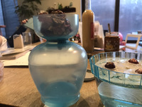 植物のある暮らし：懐かしいヒヤシンスの水耕栽培 2021/01/12 08:32:13