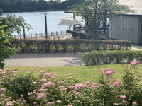 みどりは地球を救う？！【豊田市・鞍ヶ池公園】 2021/06/03 18:00:55