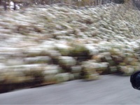 北海道で初雪体験。 2015/10/25 18:00:42