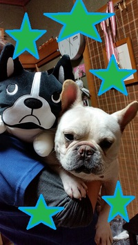 小太郎さん♪ 2016/11/12 17:52:28