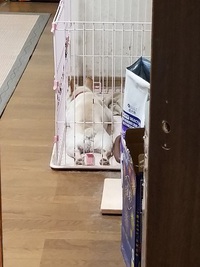 暑いですが・・・。毎日元気でいましょうね！ 2017/08/08 19:50:15