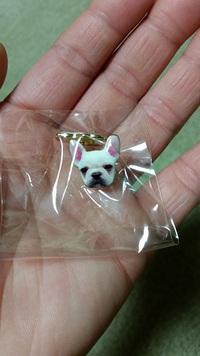 かわいいいただきもの。 2016/05/31 15:39:37