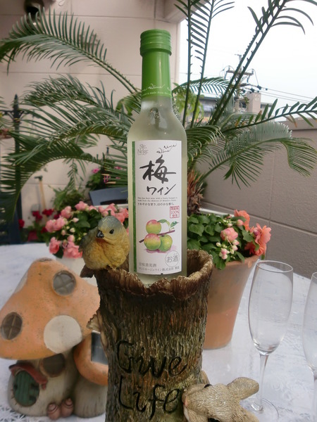 ワインとスパークリング日本酒　美味しいお酒入りました。☆