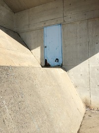 青い色 2014/03/01 09:00:00