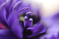 color 2014/03/31 17:02:38
