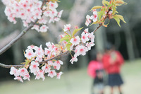 明石公園 2014/03/29 13:26:28