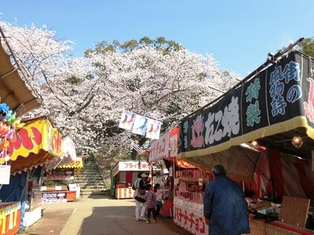 岡崎の桜まつり２０１４