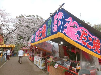 岡崎の桜まつり２０１５
