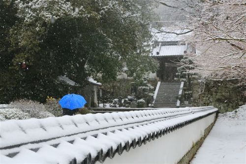 記録的降雪時の豊田と東京の雪景色