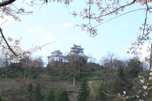 《春爛漫》❀桜と名城・名所巡りツアー・・・Ⅲ