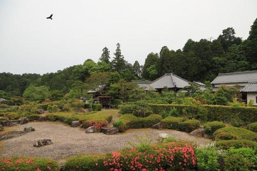 枯山水サツキ庭園の大池寺を訪ねて！