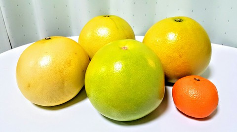 コストコ★期間限定の柑橘類ポメロ