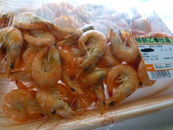 三河湾産よしえび