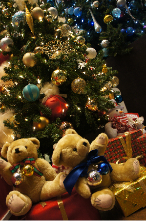 もうすぐクリスマス♪♪