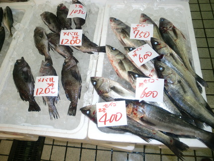 魚美本店