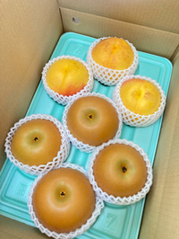 ごゆっくり。。。 2022/09/27 06:12:31