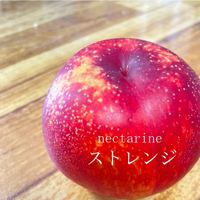 ネクタリン 2024/06/12 05:30:44