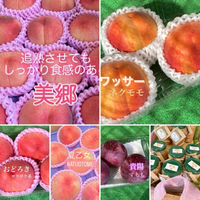 7/20(土)のご案内 2024/07/19 21:51:06