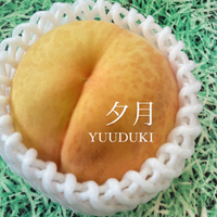 黄桃ラスト数日 2024/08/07 22:03:01