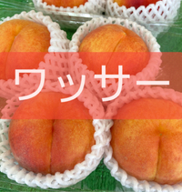 ワッサー 2024/07/13 09:11:01