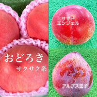 桃もすももも少なめです‼︎ 2024/07/26 22:13:24