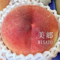 友黄　美郷　あかつき 2024/07/06 05:42:09