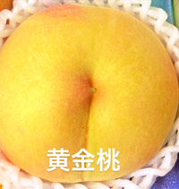 黄桃 2024/07/29 21:24:26