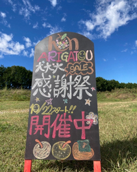 今シーズンラスト3日 2022/10/28 06:56:34