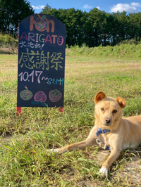 感謝祭開催中 2023/10/18 06:43:24
