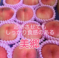 13(土)収量は少ないです 2024/07/12 22:00:02