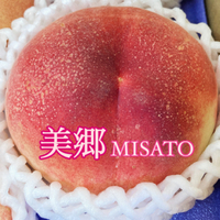 美郷メイン 2024/07/11 22:33:45