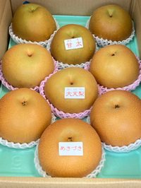 梨の食べ比べ 2023/10/05 05:51:39