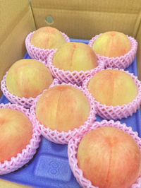 多品種収穫 2022/08/02 05:44:35