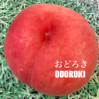 明日も少ないです‼︎ 2024/07/14 22:24:21