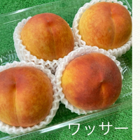 桃、すもも、ネクモモ、コンポート 2022/07/23 04:52:46