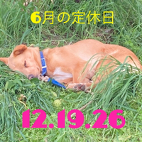 本日定休日 2023/06/12 04:56:33