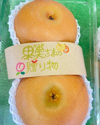 ネクタリンあとわずか 2022/09/29 06:18:02