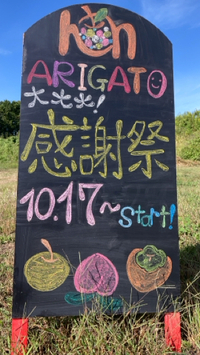 感謝祭スタート‼︎ 2023/10/17 06:58:45