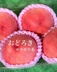 硬めの桃とすもも 2024/07/24 23:23:20
