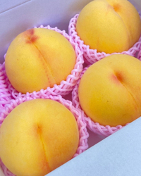 多品種収穫‼︎ 2022/07/31 05:27:18